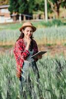 donna nel un' cannuccia cappello e plaid camicia sta in mezzo alto verde raccolti, Tenere un' tavoletta, possibilmente valutare agricolo crescita. foto