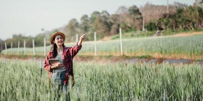 femmina contadino con un' digitale tavoletta punti in direzione il orizzonte mentre in piedi nel un' vivace verde Grano campo. foto