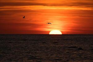 tramonto su il orizzonte di il baltico mare. arancia sole affonda in il acqua. romantico foto