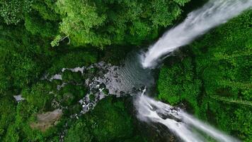 aereo Visualizza di sekumpul cascata su bali isola Indonesia - viaggio e natura sfondo. fuco foto