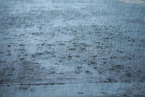 pioggia autunno su il terra nel piove stagione. foto