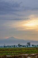 panoramico Visualizza di riso i campi dopo raccogliere con il Alba nel il sfondo Il prossimo per il montagna. isolato con vuoto spazio. foto
