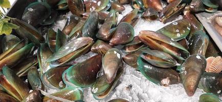 foto di un gruppo di conchiglie al mercato