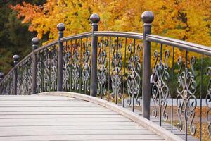 bellissimo natura autunno paesaggio con piccolo ponte. scenario Visualizza su autunno città parco con d'oro giallo fogliame nel nuvoloso giorno foto
