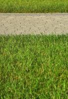 un' bellissimo nuovo passerella fatto di pavimentazione pietra è collocato tra il verde erba foto