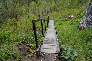 un vecchio abbandonato di legno scala, passaggi a partire dal tavole, un' discesa giù il le scale con ringhiere, un' parco per a passeggio, un' paesaggio nel il foresta. foto