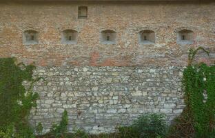 grande pietra parete di un antico castello, coperto di vegetazione con massiccio edera rami nel lviv, Ucraina foto