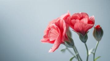 rosa fiori con delicato petali e fioriture catturare il essenza di bellissimo natura nel primavera foto