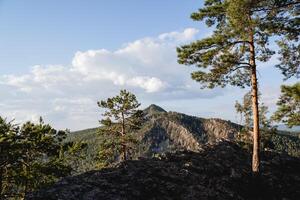 il bellissimo paesaggio di il montagna picco, il natura di Russia, il taiga foresta di il meridionale Urali, aigir è un' posto di avventura, un' Riserva, pino alberi crescere su il montagna. foto