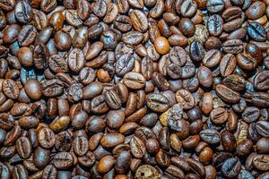 avvicinamento Visualizza di nero caffè fagioli dopo torrefazione. foto