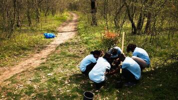 fuco tiro di volontari gruppo piantare alberi e preservare natura, in crescita piantine insieme e pulizia il ambiente. ecologico attivisti giardinaggio, habitat coltivazione. telecamera un. foto