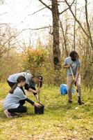 gruppo di attivisti piantare piccolo alberi per natura preservazione, porzione con sostenibilità e ecosistema conservazione. volontari unendo mani per ambientale cura, scavando fori per semi. foto
