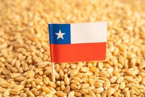 cereali Grano con chile bandiera, commercio esportare e economia. foto