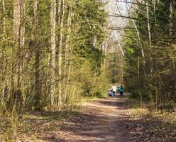 persone godendo soleggiato giorno su nel il parco. all'aperto foto