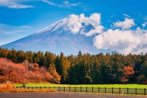 mt. fuji su blu cielo sfondo con autunno fogliame a giorno nel Fujikawaguchiko, Giappone. foto