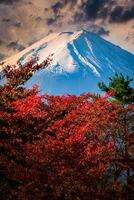 mt. fuji su drammatico cielo con autunno fogliame a tramonto nel Fujikawaguchiko, Giappone. foto