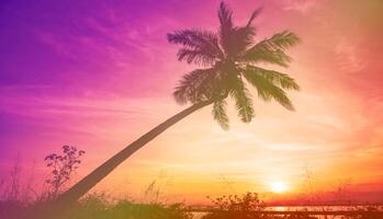 silhouette palme da cocco sulla spiaggia al tramonto. tono vintage. foto