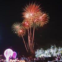 il colorato Schermo di fuochi d'artificio celebra il divertimento e felicità di il notte. foto