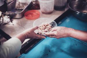 gratuito cibo. il umano bisogno per cibo è Assistito di volontari. foto