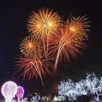 il colorato Schermo di fuochi d'artificio celebra il divertimento e felicità di il notte. foto