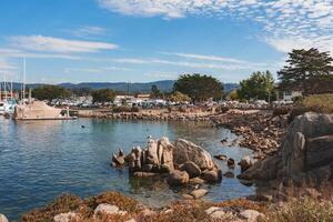 sereno costiero marina scena con foche, Barche, e natura foto