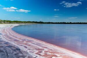 sereno rosa sale lago foto