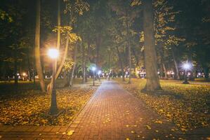 notte parco nel autunno con caduto giallo lascia.città notte parco nel d'oro autunno con lanterne, caduto giallo le foglie e acero alberi. Vintage ▾ film estetico. foto