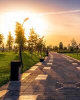 città parco nel estate con marciapiede, lanterne, giovane verde prato, alberi e nuvoloso cielo su un' tramonto o Alba. foto