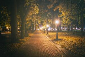 notte parco nel autunno con caduto giallo lascia.città notte parco nel d'oro autunno con lanterne, caduto giallo le foglie e acero alberi. Vintage ▾ film estetico. foto