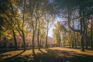 foglia autunno nel il città parco nel d'oro autunno. paesaggio con aceri e altro alberi su un' soleggiato giorno. Vintage ▾ film estetico. foto