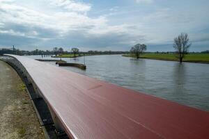 fiume ijssel nel dosburg Olanda foto