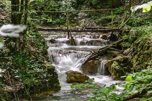 montagna ruscello nel il foresta - lungo esposizione e fluente acqua foto