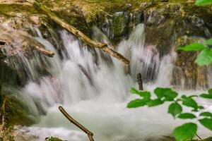 montagna ruscello nel il foresta - lungo esposizione e fluente acqua foto