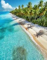 aereo Visualizza di incontaminato spiaggia con cristallo chiaro acqua e lussureggiante palma alberi. tropicale spiaggia, lusso viaggio concetto foto