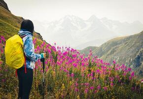 mezza età in forma sportivo femmina escursionista con nordico camminare Pols In piedi su punto di vista salita nel verde escursioni a piedi pista nel Georgia Caucaso montagne. attività e salutare stile di vita foto