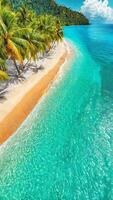 aereo Visualizza di incontaminato spiaggia con cristallo chiaro acqua e lussureggiante palma alberi. tropicale spiaggia, lusso viaggio concetto foto