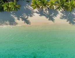 aereo Visualizza di incontaminato spiaggia con cristallo chiaro acqua e lussureggiante palma alberi. tropicale spiaggia, lusso viaggio concetto foto