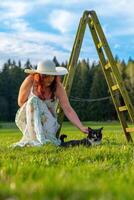 donna su un' prato con un' scala accarezzando un' gatto foto