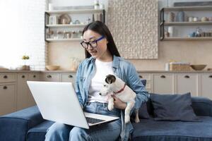 giovane bellissimo asiatico donna a casa seduta su divano e parlando su chiamata utilizzando computer portatile, donna con animale domestico cucciolo Jack russell terrier parlando con amici remoto foto