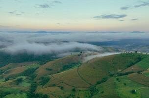 bellissimo verde montagna paesaggio con mattina Alba cielo e nebbia. aereo Visualizza di verde alberi e Mais campo su il montagna foreste e nebbia nel inverno. natura scena. verde ambiente sfondo. foto