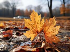 ai generato autunno giallo Rowan le foglie su un' sfocato sfondo generativo ai foto