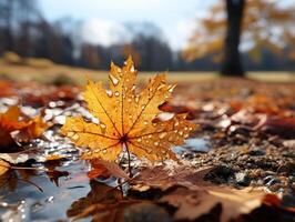 ai generato autunno giallo Rowan le foglie su un' sfocato sfondo generativo ai foto