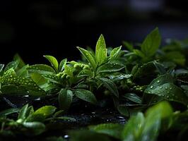 ai generato verde tè le foglie nel rugiada generativo ai foto