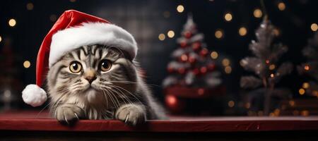 ai generato nuovo anni gatto con Santa Claus cappello generativo ai foto