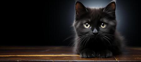 ai generato gatto su un' buio sfondo avvicinamento ritratto generativo ai foto