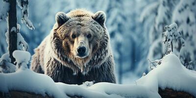 ai generato orso nel il inverno foresta generativo ai foto