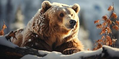 ai generato orso nel il inverno foresta generativo ai foto