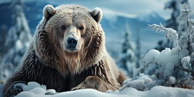 ai generato orso nel il inverno foresta generativo ai foto