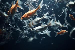 pesce salto su di il acqua spruzzi foto