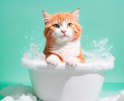 carino gattino nel un' bagno con schiuma foto